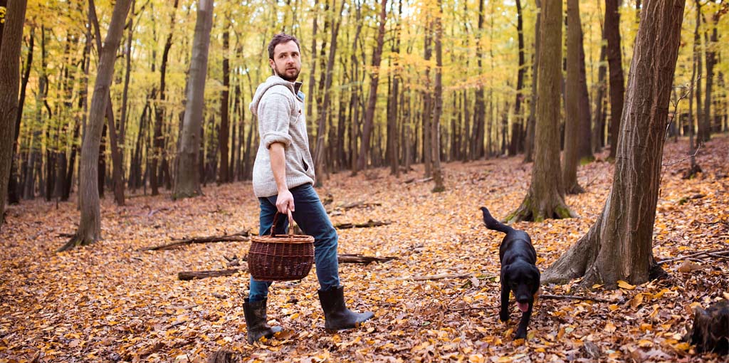 husse och hund är ute och plockar svamp