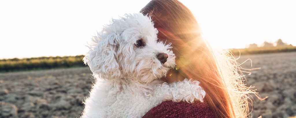 vit gullig hund med sin matte