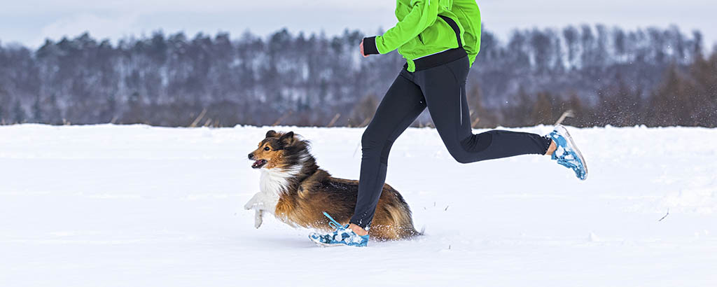 kvinna joggar i snö tillsammans med sin hund