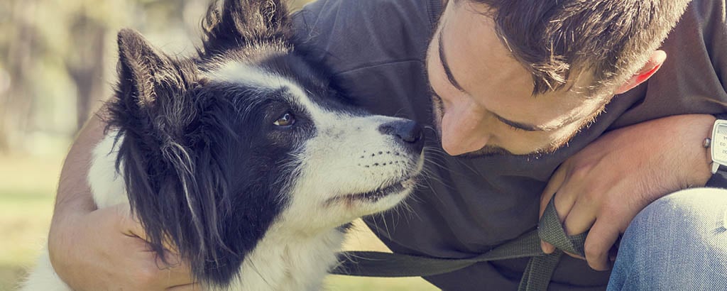 man pratar med sin hund border collie